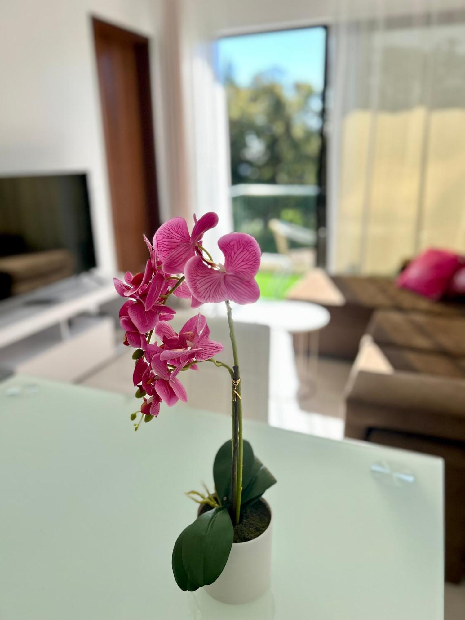 Santa Catarina By Ola Madeira Apartment Funchal  Exterior foto
